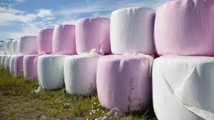 Silage