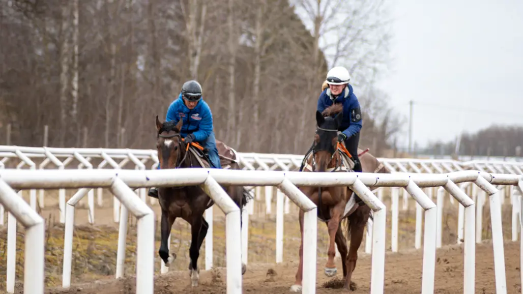 Photo of racehorses with jockeys on a straight track.