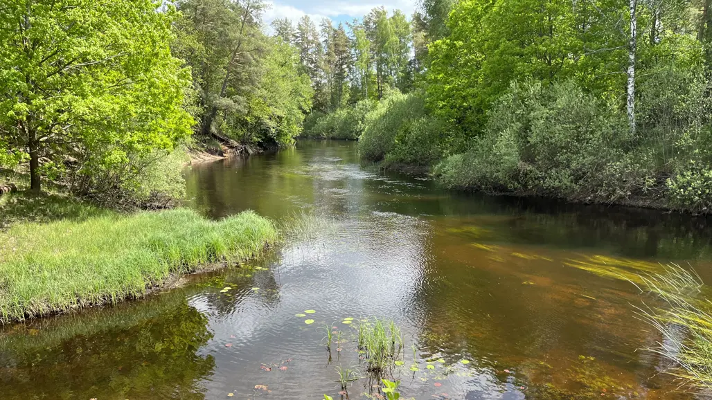 Slingrande vattendrag rinner sakta genom landskap. Foto.