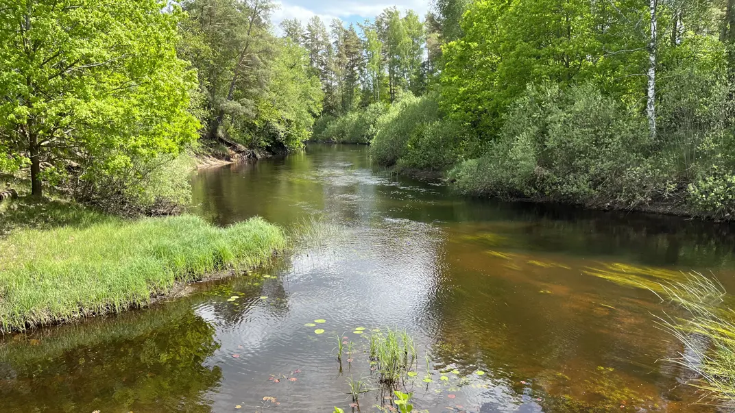 Winding watercourse running slowly through the landscape. Photo.
