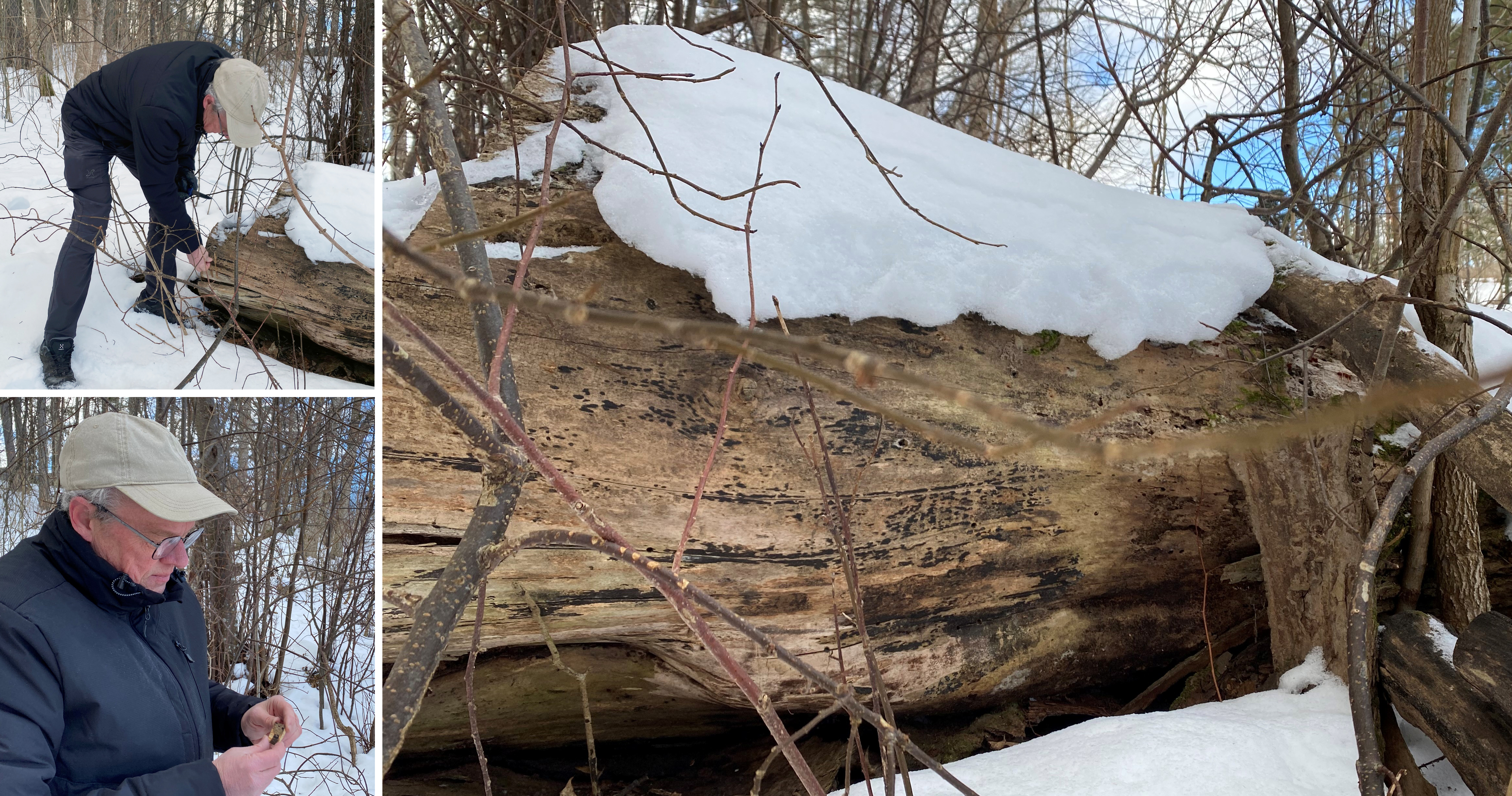 Man med keps och vinterjacka står vid snötäckt stock i skogen och tittar på utskuren träbit