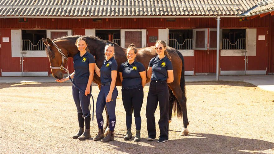 Fyra kvinnor med en häst.