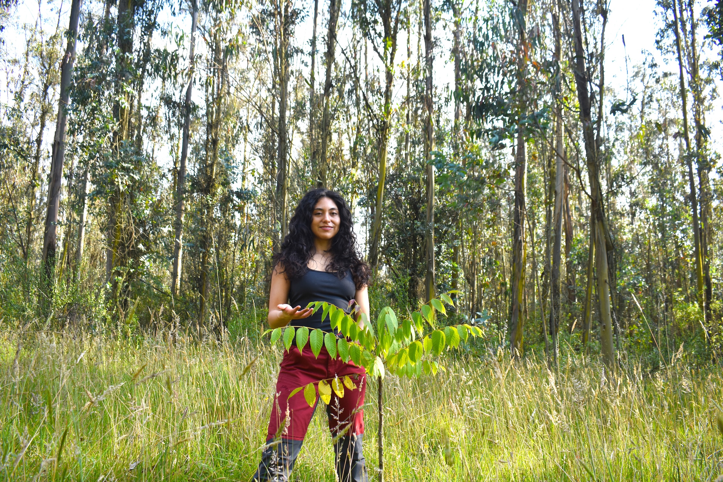 woman standing in the forest