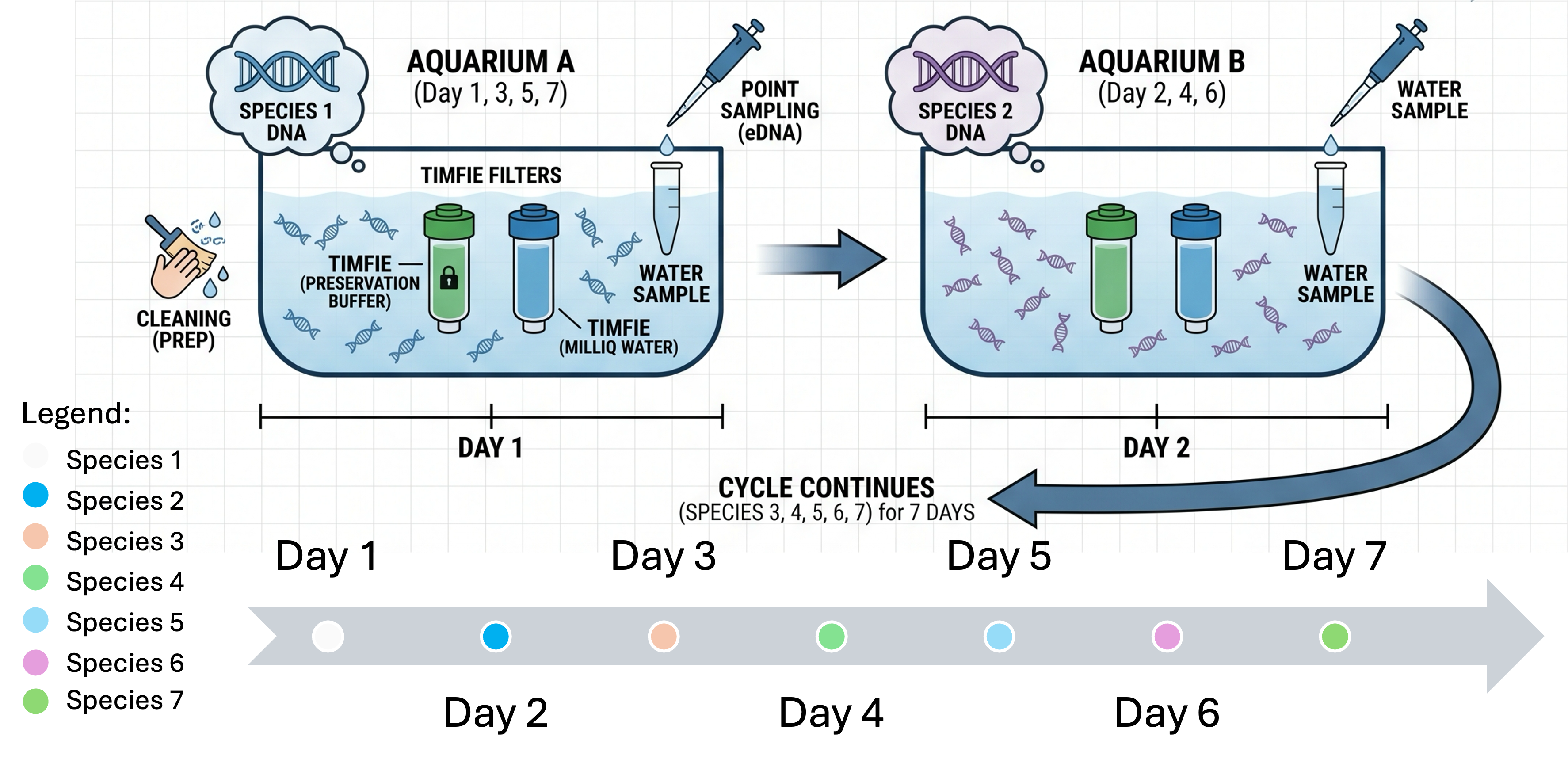 Schematic of a seven-day TIMFIE experiment in which samplers are moved daily between tanks containing different fish species to test time-integrated collection of eDNA.