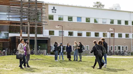 Lawn with a building in the background and some people in the front. Photo: Malin Grönborg