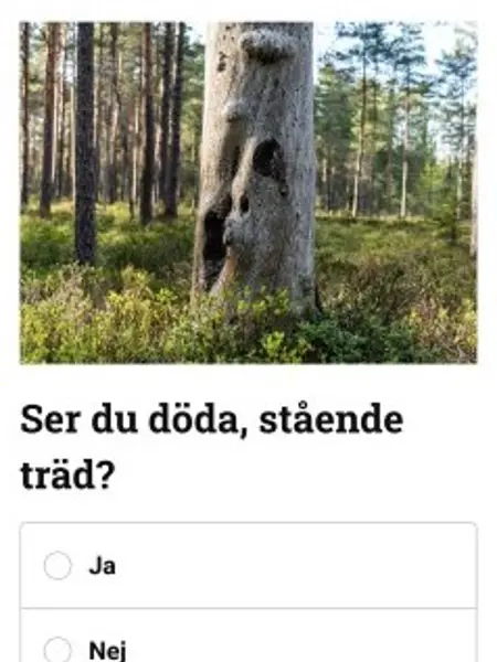 Skärmbild från Uppdrag skog