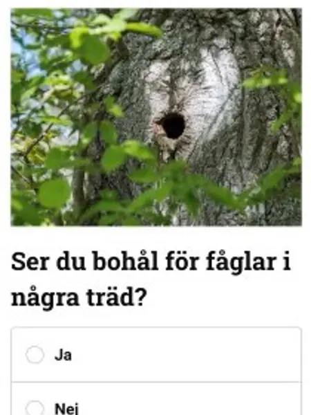 Skärmbild från Uppdrag skog