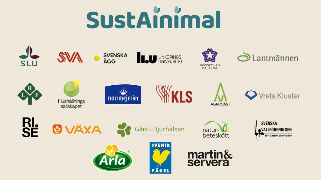 Partner logotypes on beige background.