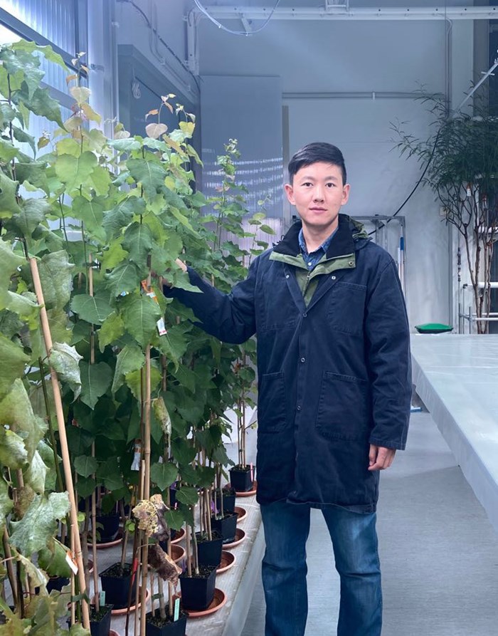Yanjun Zan