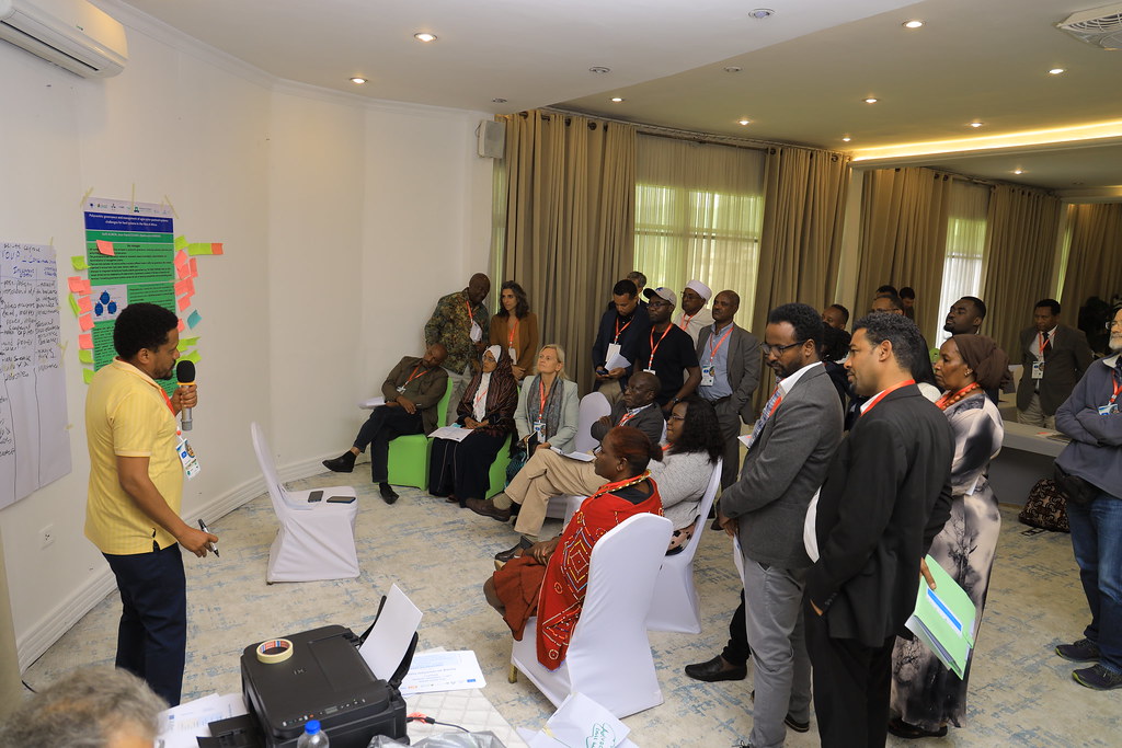 SASi-SPi Science Policy Lab onagro-silvo-pastoralism in Addis Abeba. Foto: Koffi Olulumazo Alinon