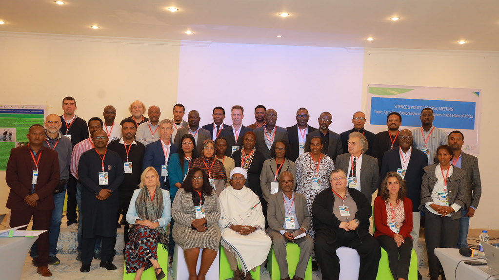 Participants in SASi-SPi Science Policy Lab i Addis Abeba. Photo: Koffi Olulumazo Alinon