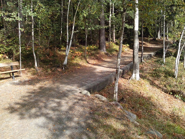 En skogsstig som blir smalare. En avsmalnande stig kan vara farligt för personer med synnedsättning.