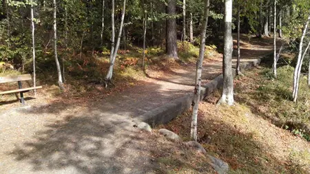 En skogsstig som blir smalare. En avsmalnande stig kan vara farligt för personer med synnedsättning.