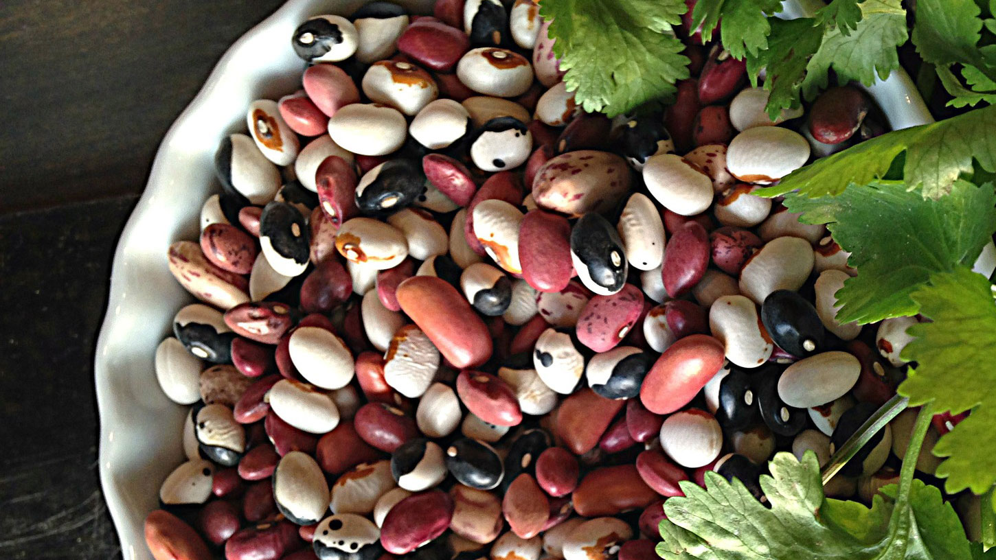 Different kinds of beans. Photo: Pixabay.