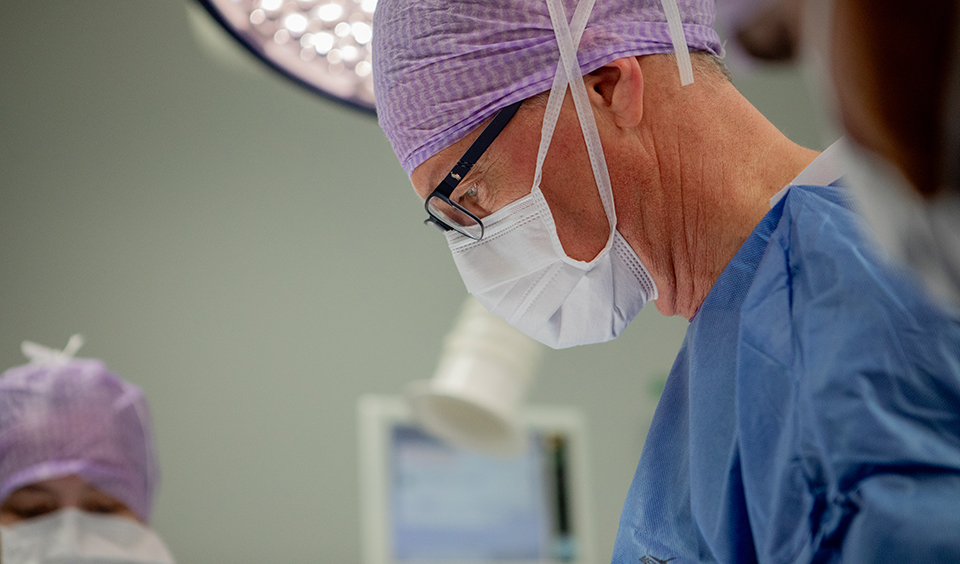 Foto på en veterinär under en smådjursoperation.