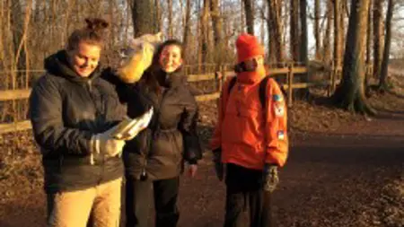 Tre personer i en skog