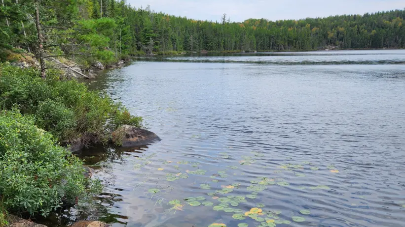 Skogssjö med klippig strand.