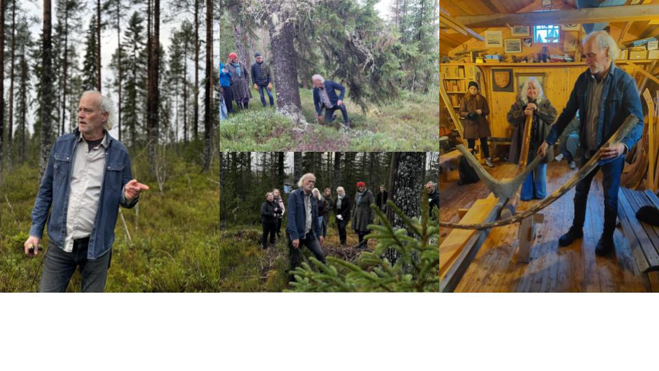 Workshop activity in the forest and boat building shop