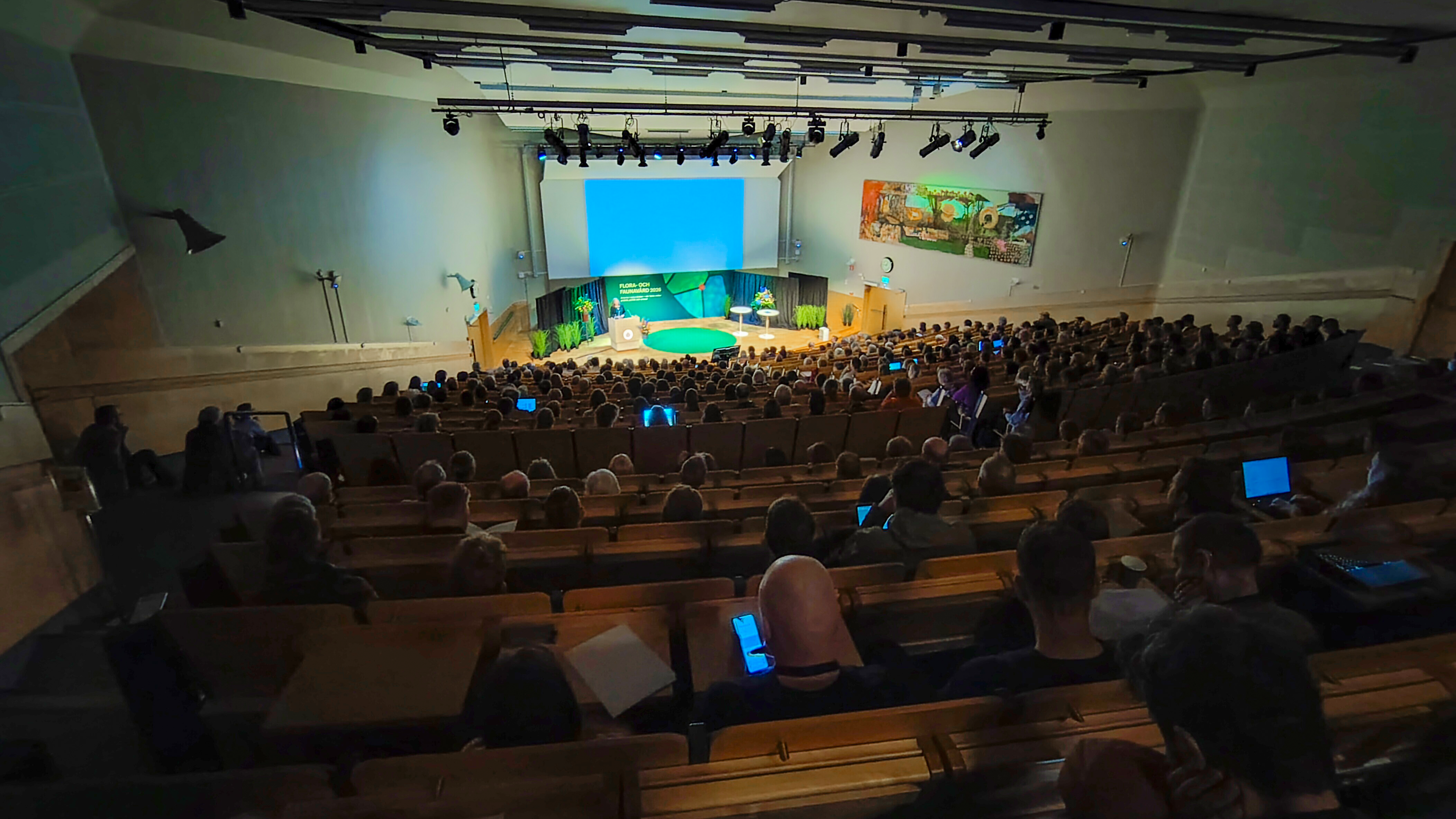 Stor publik i amfiteater sedda bakifrån. Foto