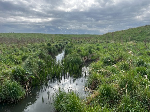 En åker och en jordbruksbäck