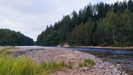 Vid älvstrand vid Lögdeälven
