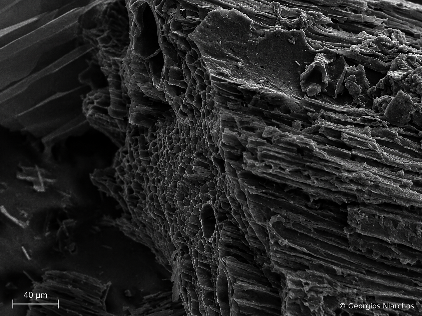 Wood-pellet-derived biochar viewed by scanning electron microscopy (SEM), revealing the material’s porous and layered surface structure
