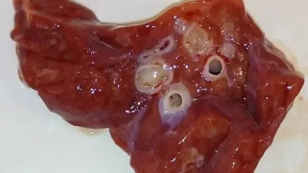 Röd massa med fem hål i sig.