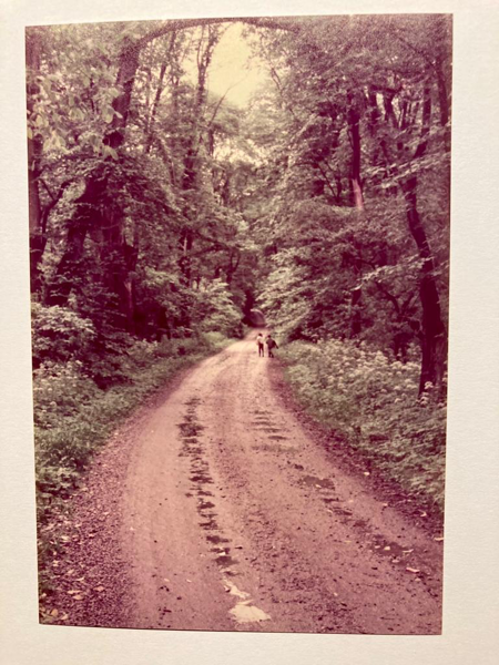 Personer på en grusväg i Örups naturreservat 1982. Foto.