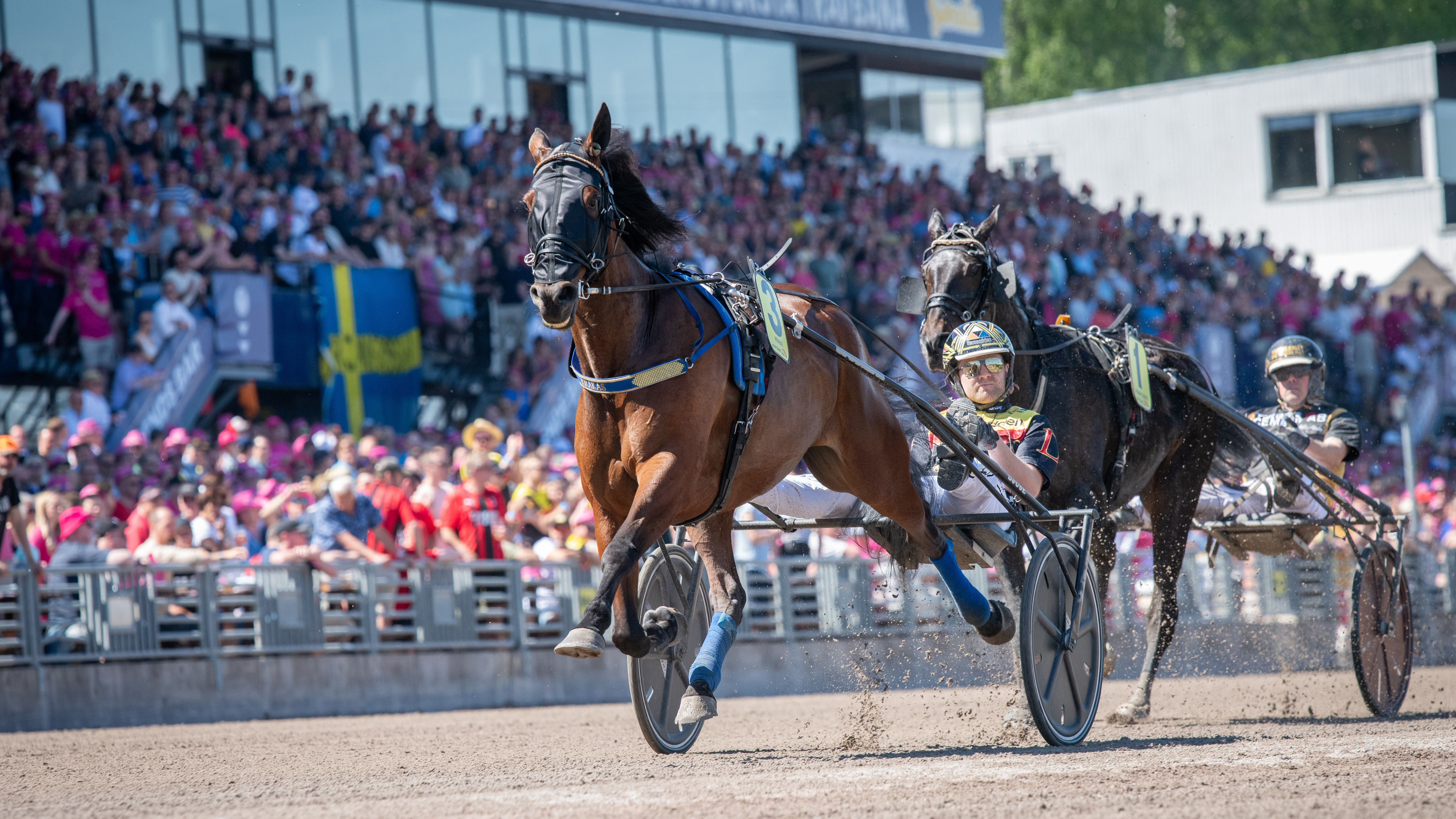 Travhästar som tävlar i ett lopp med en stor publik. Foto.