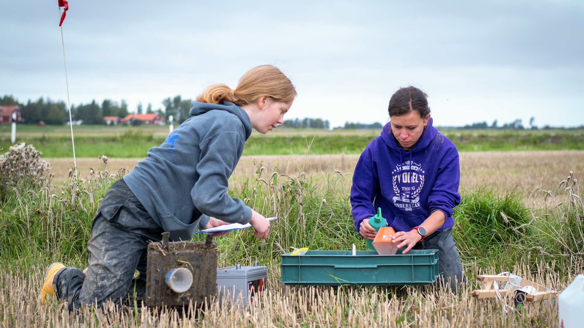 Two women working on a field. Photo.