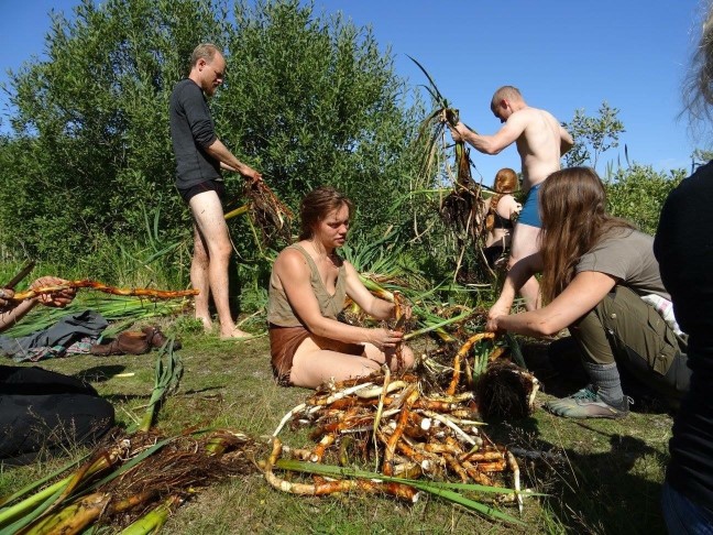 Aktivitet med föreningen Naturliv. Foto: Föreningen Naturliv