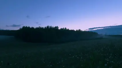 Äng på natten