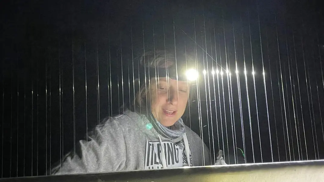 Heather Wood doing research on bats