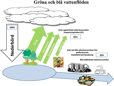 Principskiss över gröna och blå vattenflöden