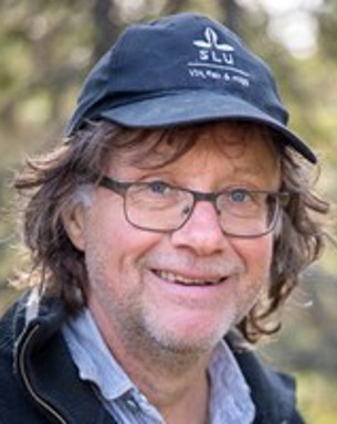 Portrait photo of Mats Dynesius