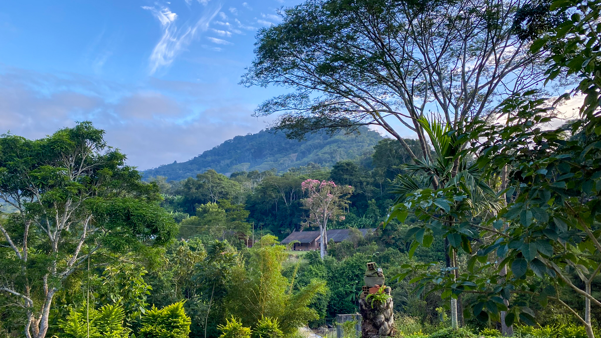 A mountainous landscape with trees and bushes. Photo.