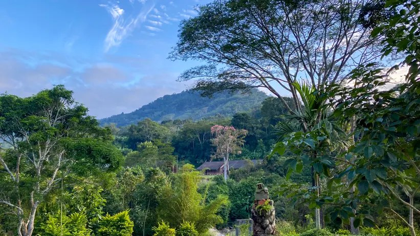 A mountainous landscape with trees and bushes. Photo.