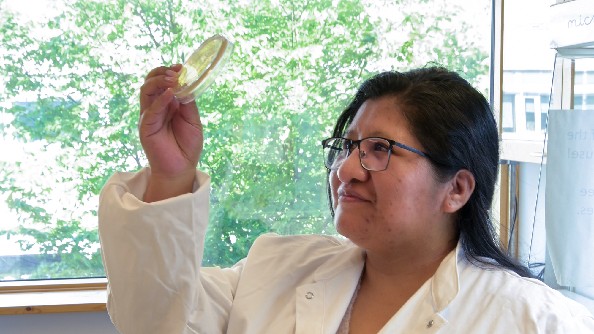A woman holding a Petri dish in a lab. Photo.