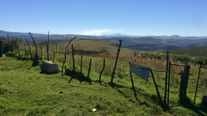 A fenced garden planted with maize. Fields and grazing lands in the horizon in Xopozo, Flagstaff, South Africa.