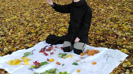 Höstlöv samlade i färgskala på presenning. En person sitter på presenningen och håller upp ett höstlöv.