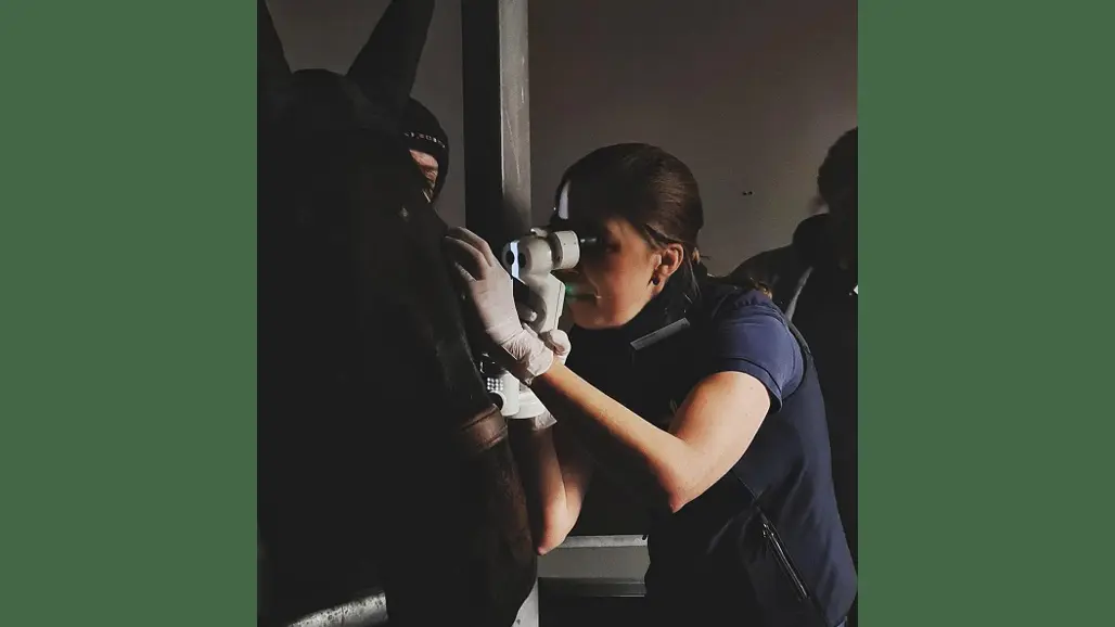 Photo of eye examination of horse in veterinary clinic.