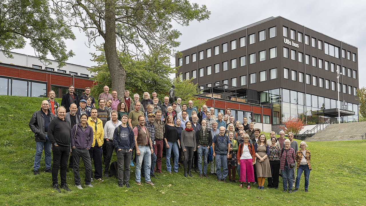 Människor på en gräsmatta. Foto