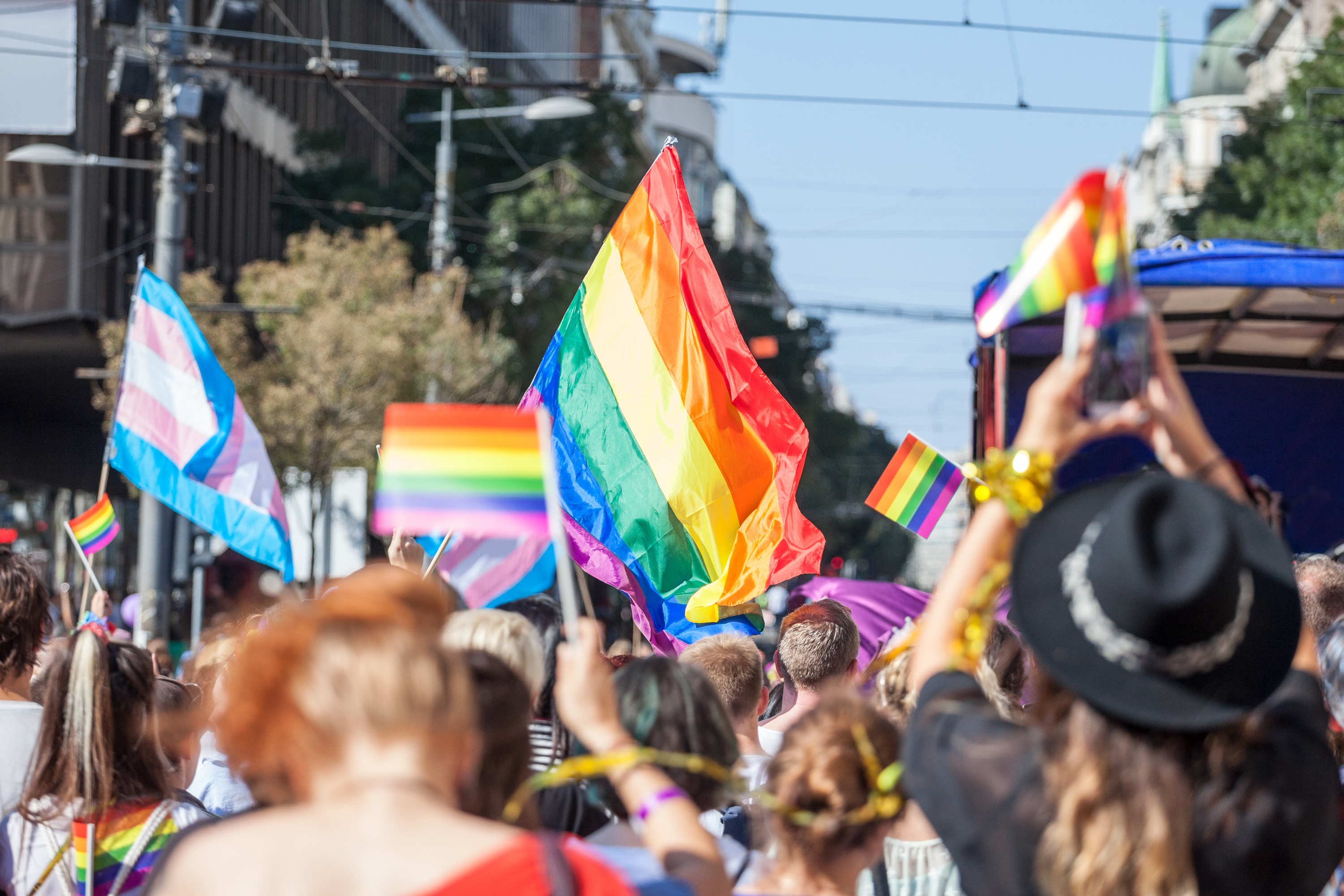 Picture of a pride parade and pride flags
