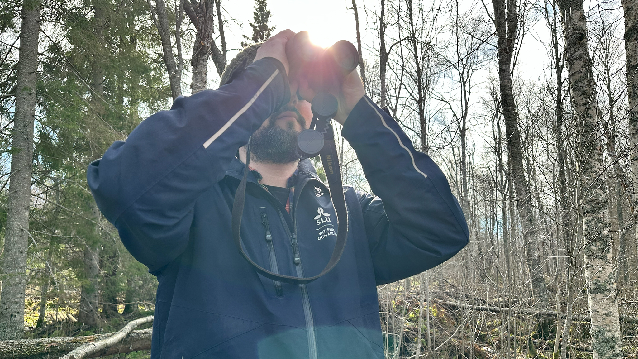 På ön Stora Tuvan utanför Umeå häckar en av Sveriges mest sällsynta fåglar. Forskaren Albin Larsson-Ekström tar oss med ut dit. Lyckas vi få syn på den? Bild: Daniel Stjärna, SLU.