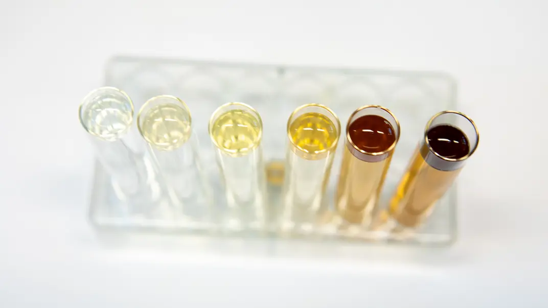 Test tubes with different colored water. Photo.