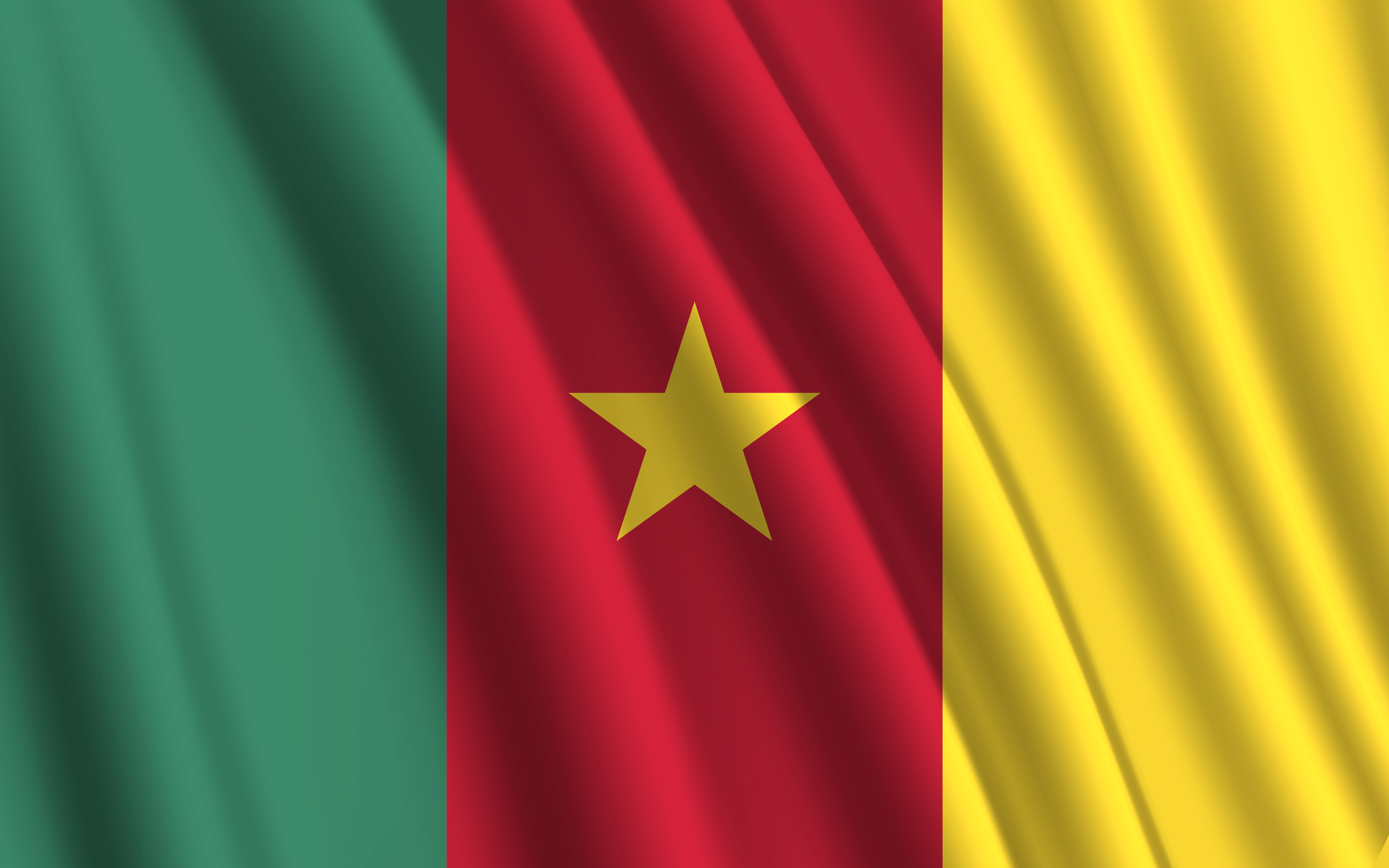 Flag of cameroon