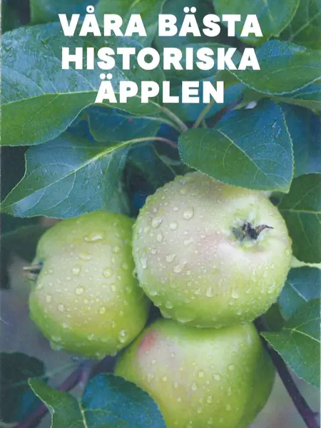Foldern "Våra bästa historiska äpplen" berättar om äldre äpplesorter som finns att köpa under varumärket Grönt kulturarv. På framsidan av foldern syns tre gröna äpplen i bladverket på ett äppelträd.