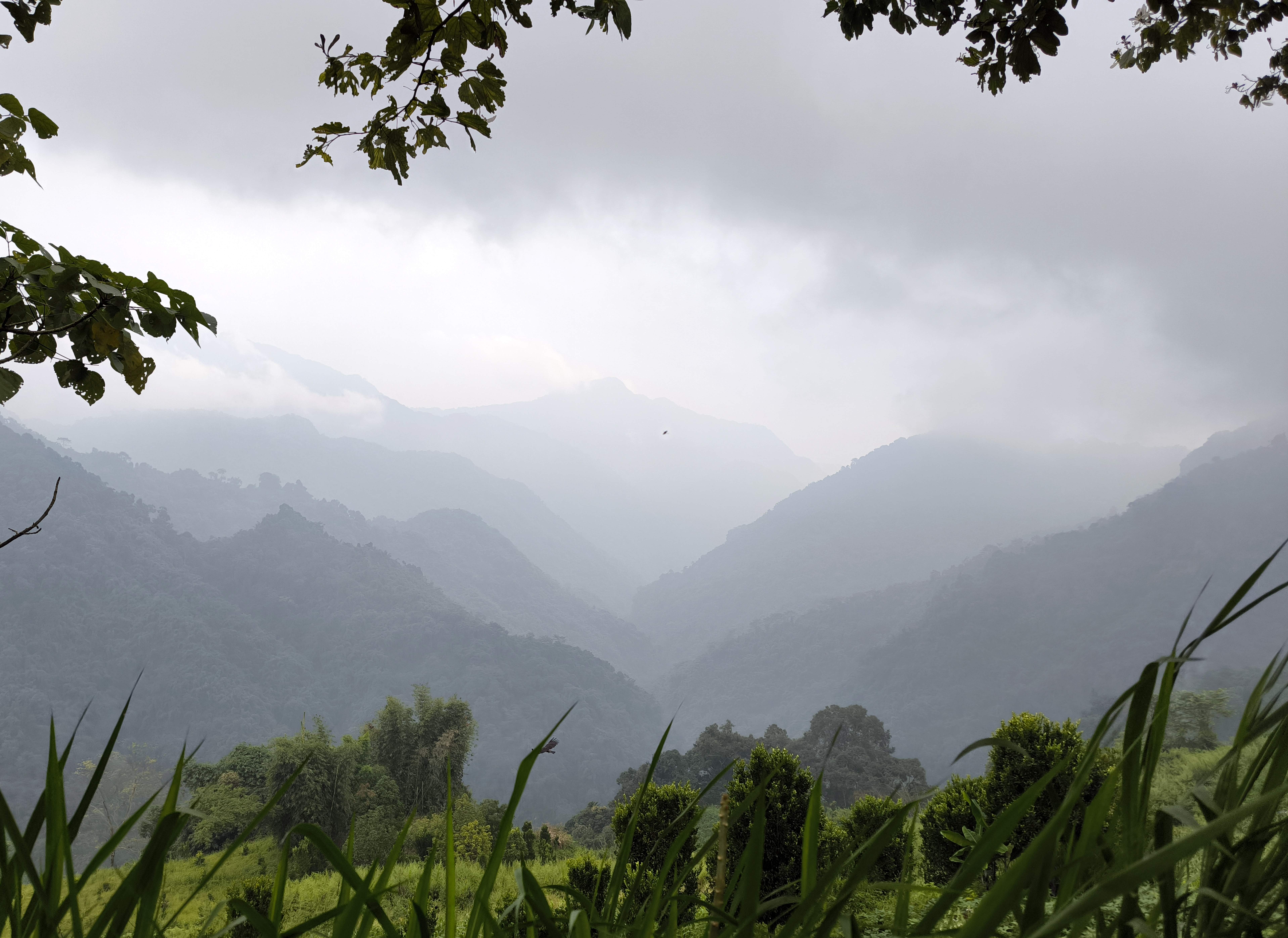 A picture from the landscape of  Ngangla in Bhutan. Photo: Tarayana Foundation