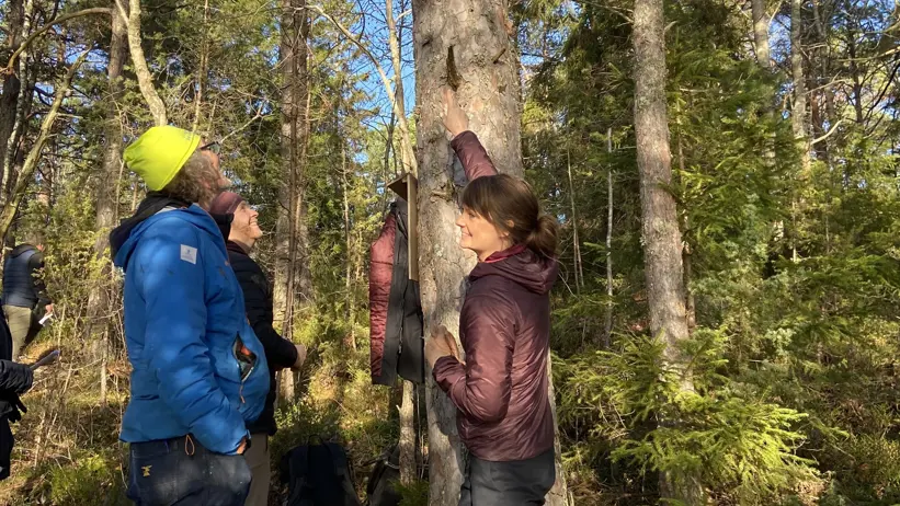 Några personer pratar och tittar på en tallticka.
