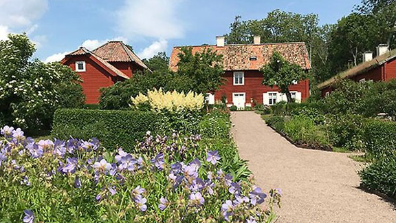 Linné's Hammarby